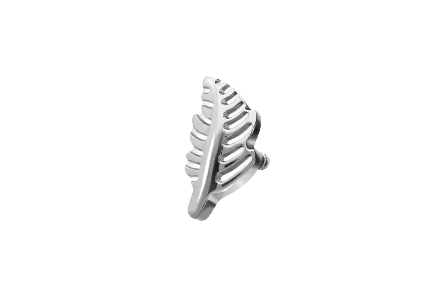 Titanium srew-in attachment with external thread LEAF ++SALE++
