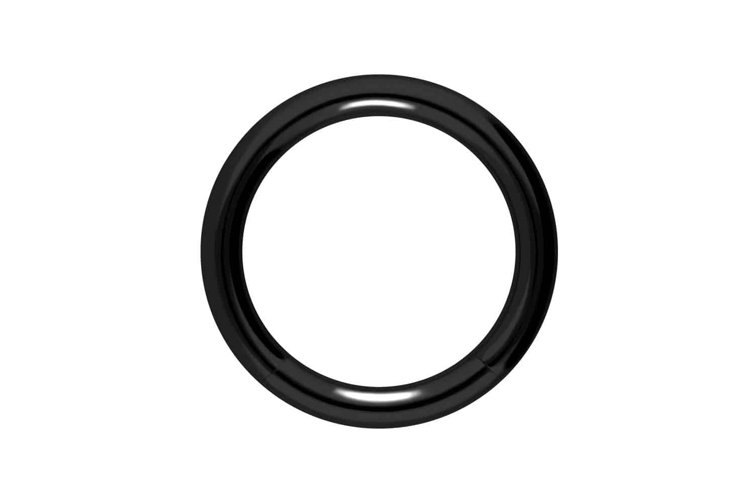 Chirurgenstahl Segmentring