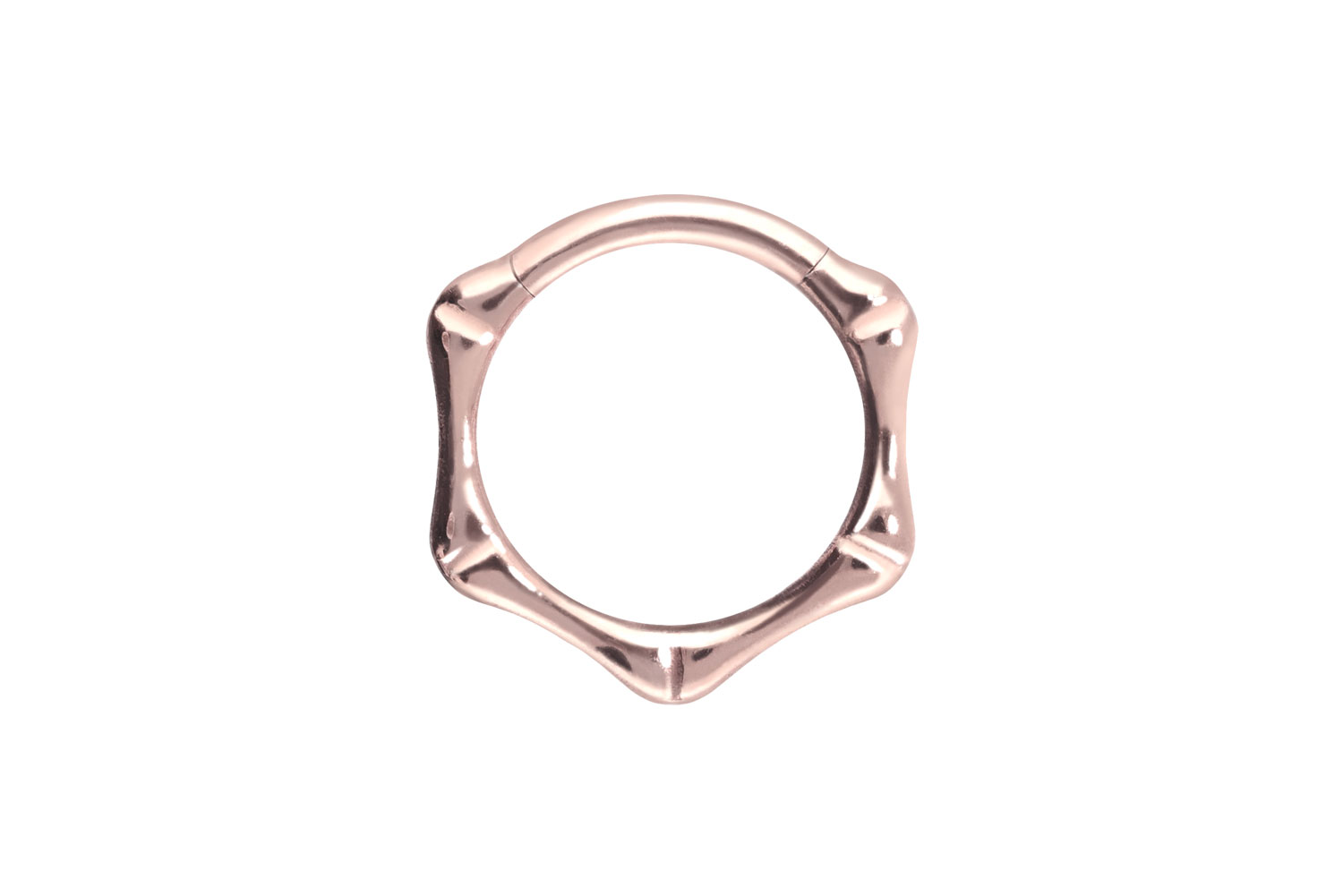 Titanium segment ring clicker BONES