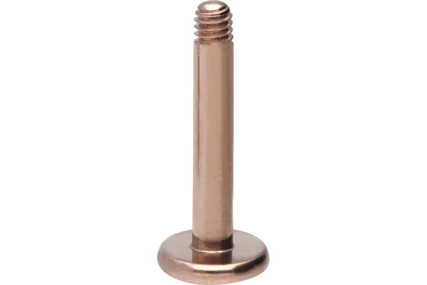 Chirurgenstahl Labret ohne Kugel
