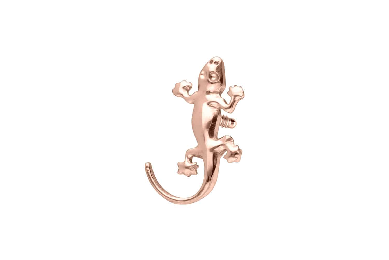 Titanium screw-in attachment with external thread GECKO