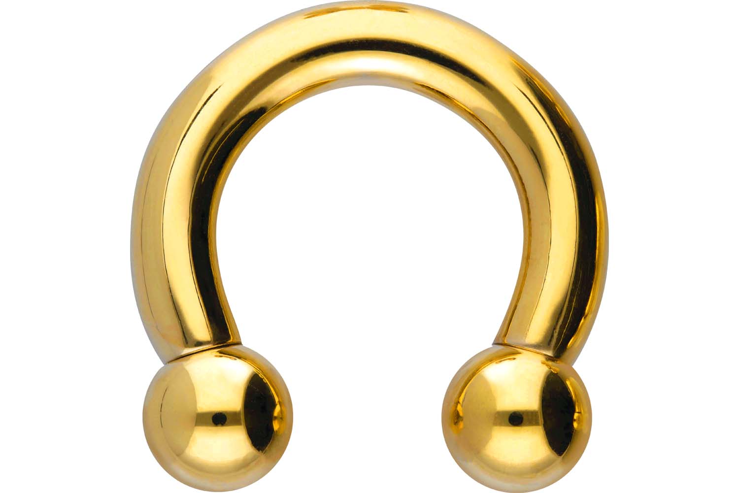 Chirurgenstahl Hufeisenring