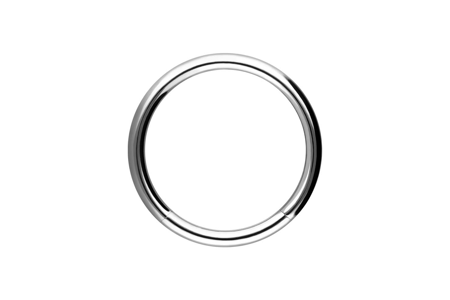 Surgical steel segment ring