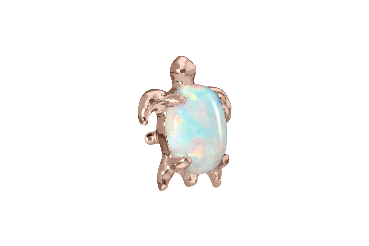 Titanium screw-in attachment with external thread TURTLE