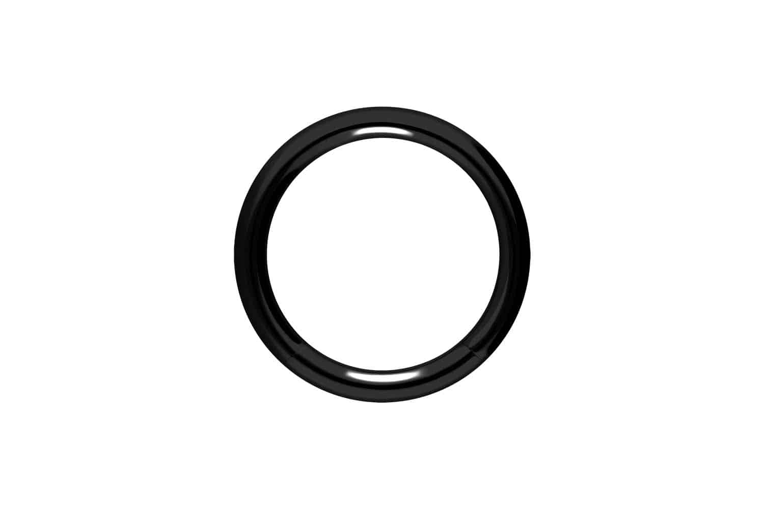 Chirurgenstahl Segmentring