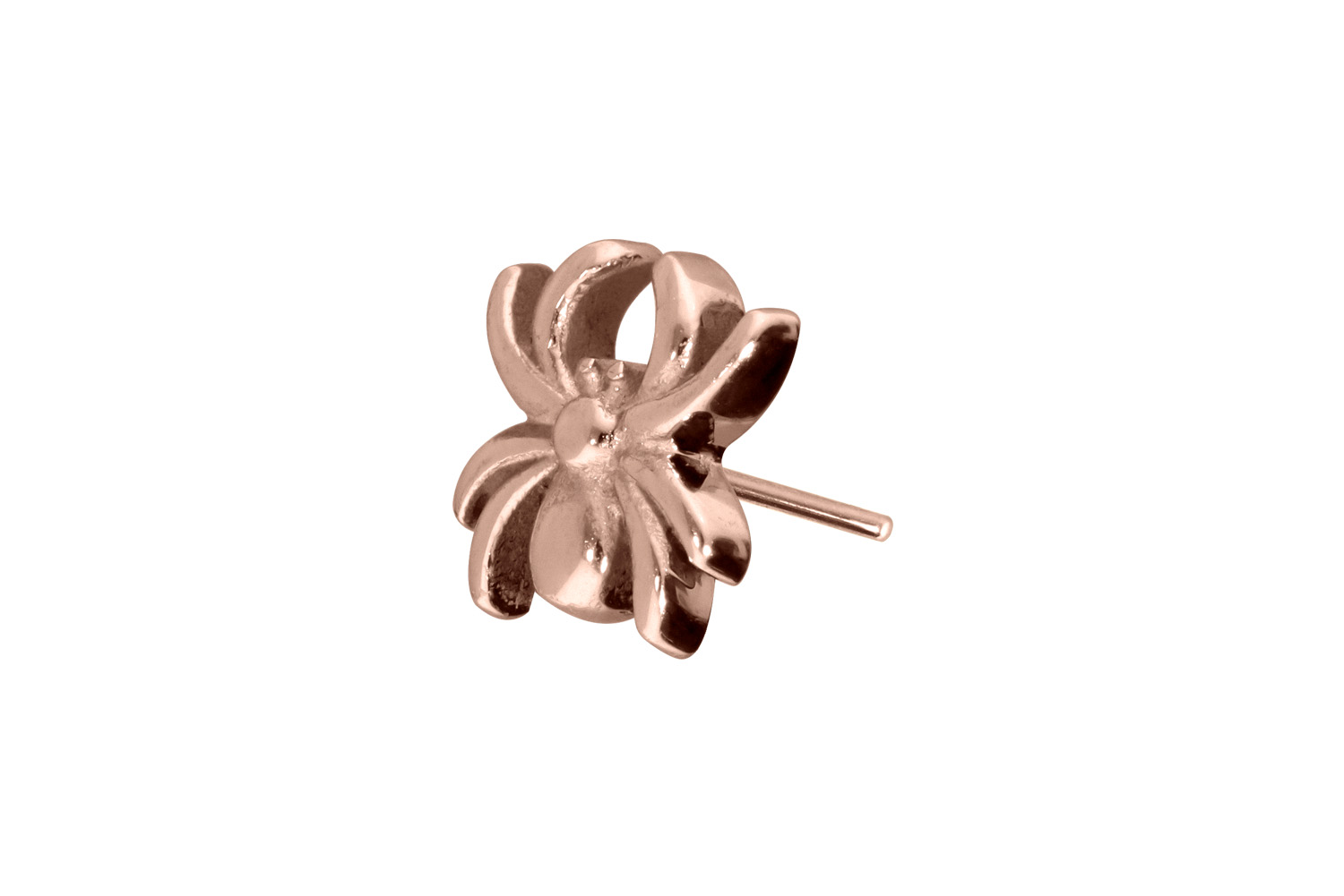 Titan Aufsatz mit Push Pin SPINNE