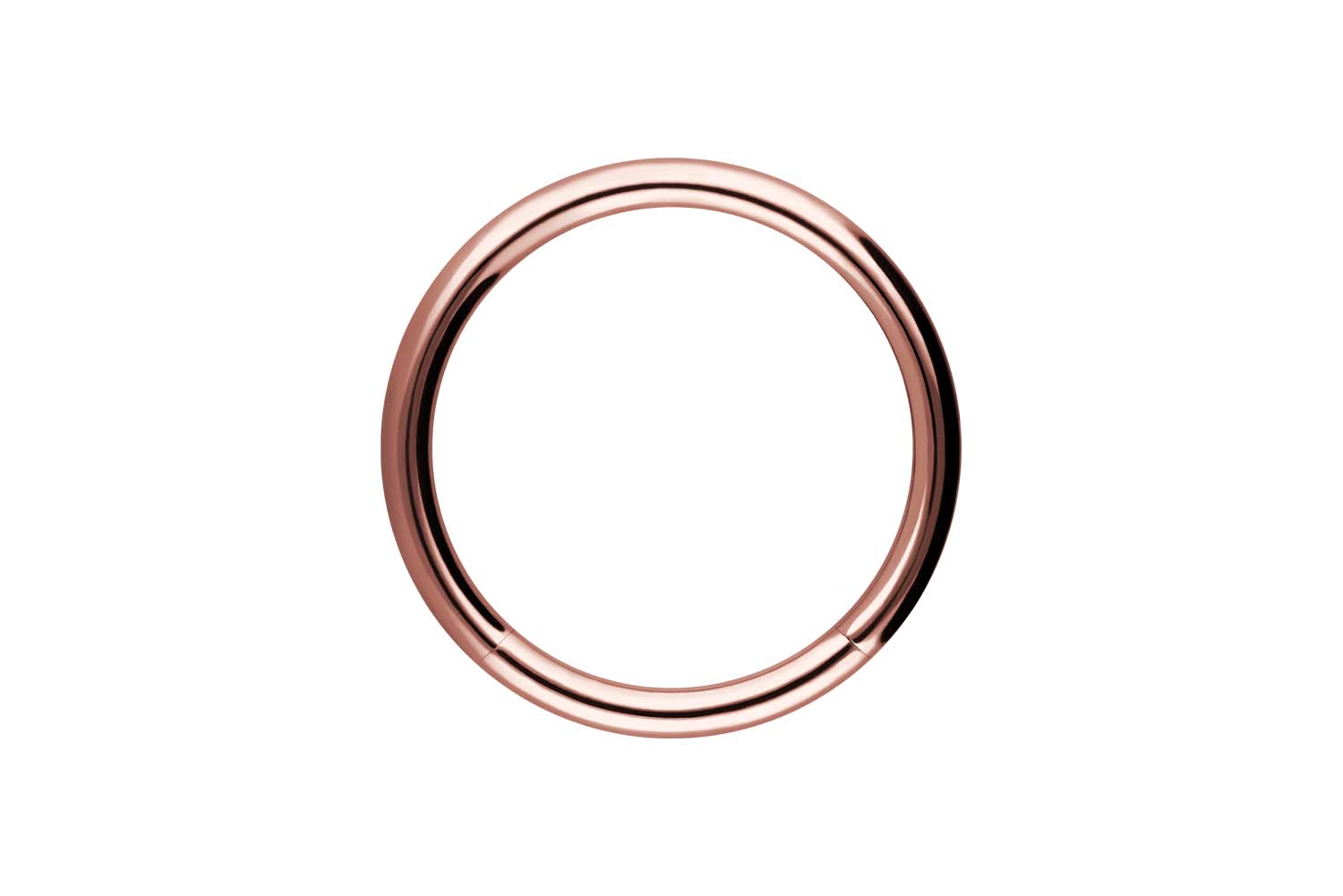 Chirurgenstahl Segmentring