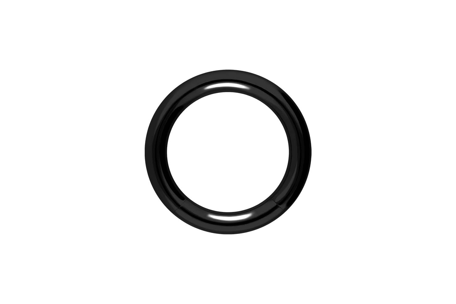 Chirurgenstahl Segmentring