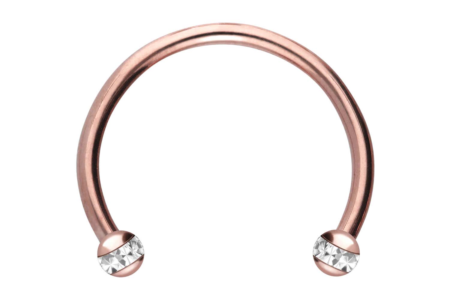 Chirurgenstahl Hufeisenring EPOXY-RING-KUGELN