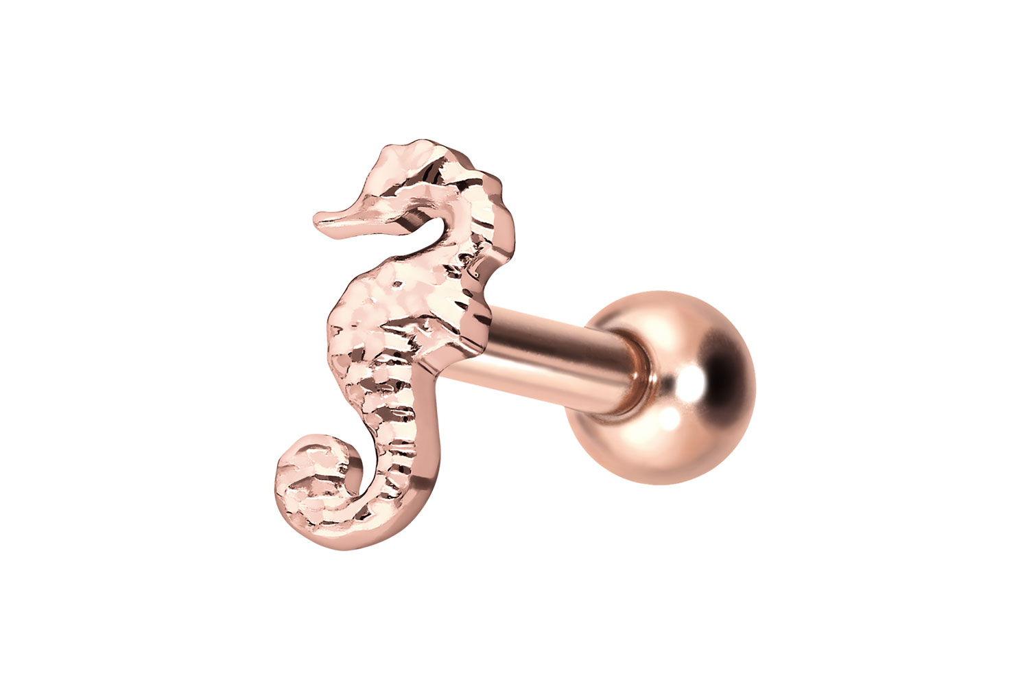 Titanium ear piercing with internal thread SEAHORSE