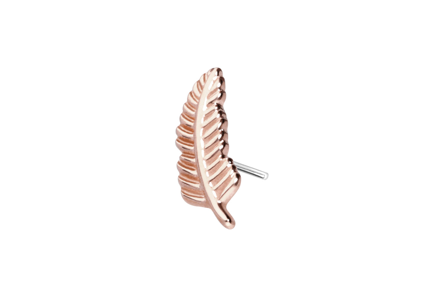 14 Karat Gold Aufsatz mit Titan Push Pin FEDER