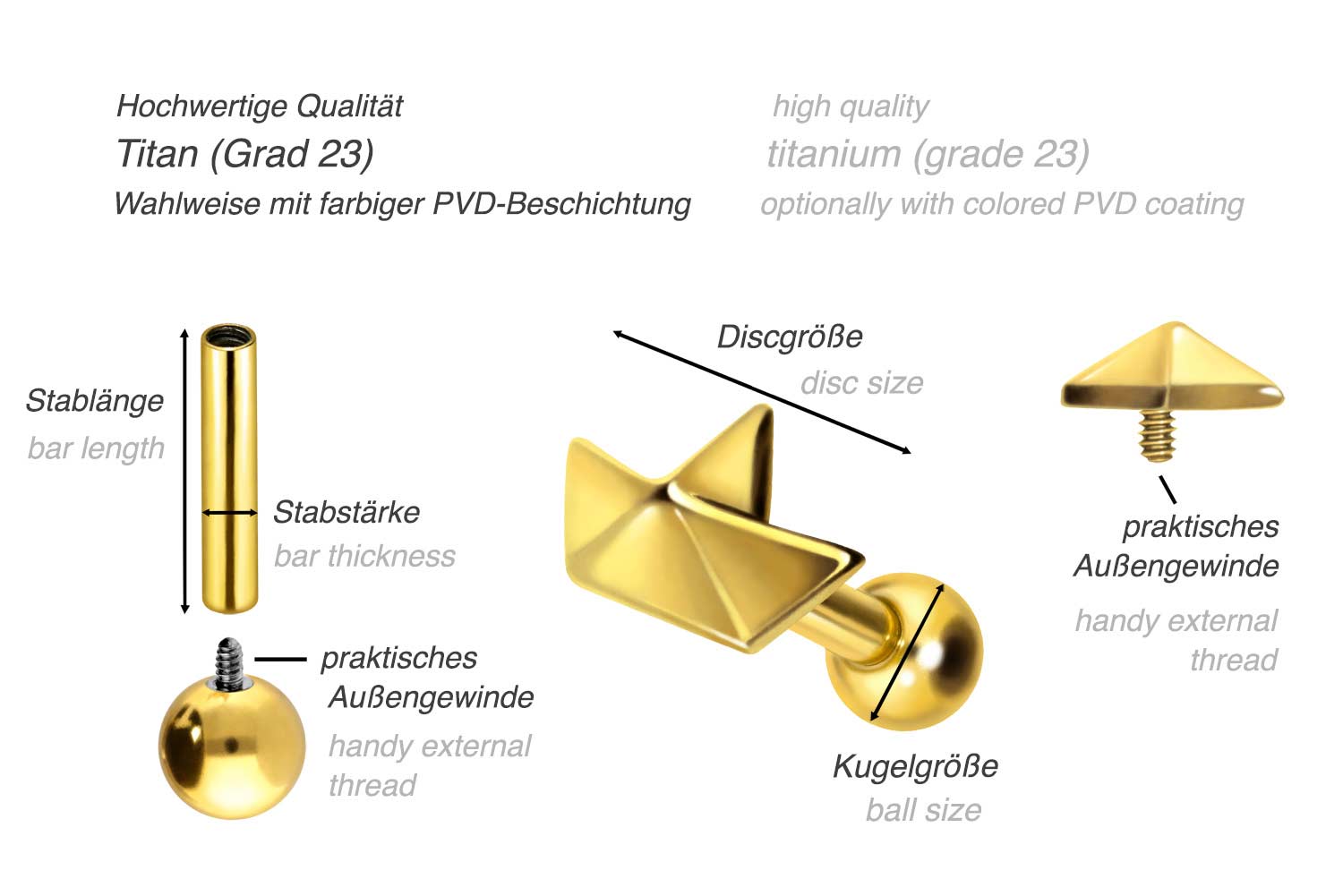 Titan Ohrpiercing mit Innengewinde SEGELBOOT