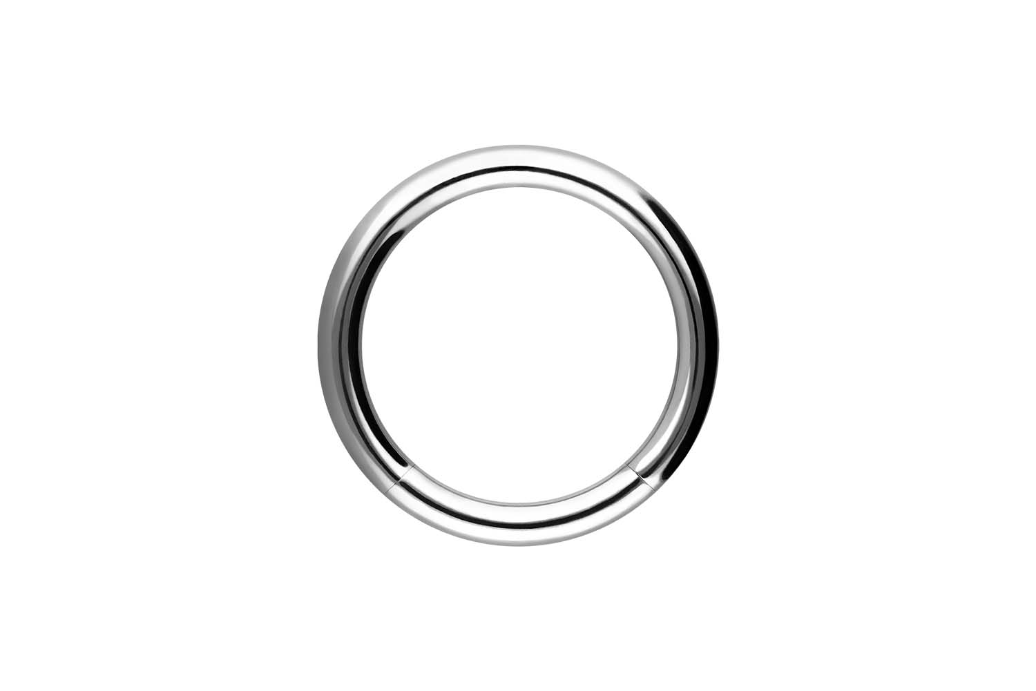 Chirurgenstahl Segmentring