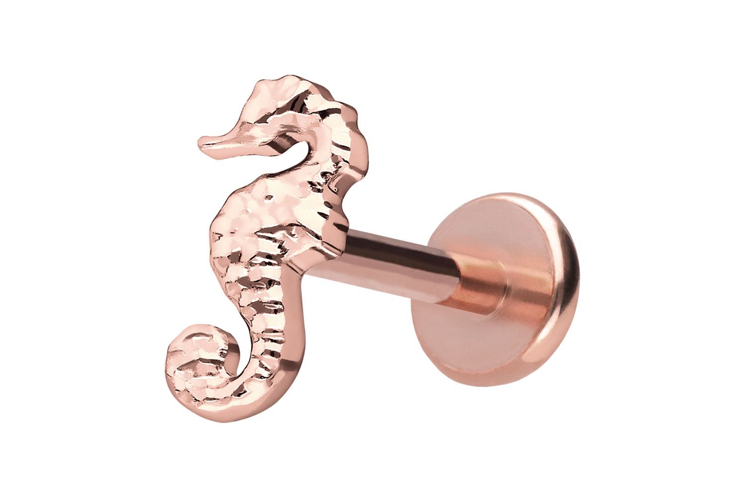 Titanium labret with push fit SEAHORSE