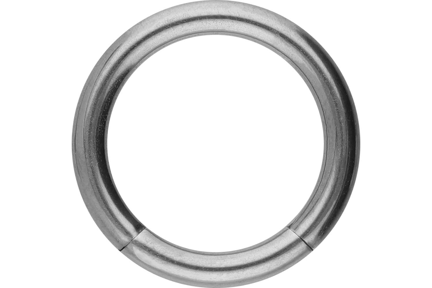 Titanium segment ring