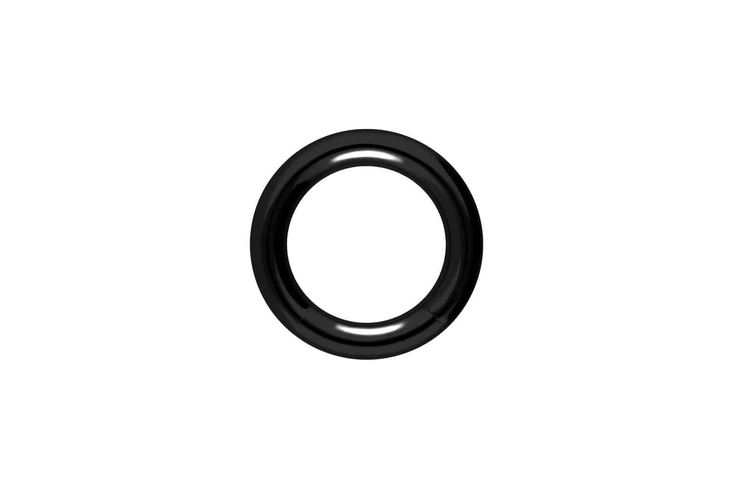 Chirurgenstahl Segmentring