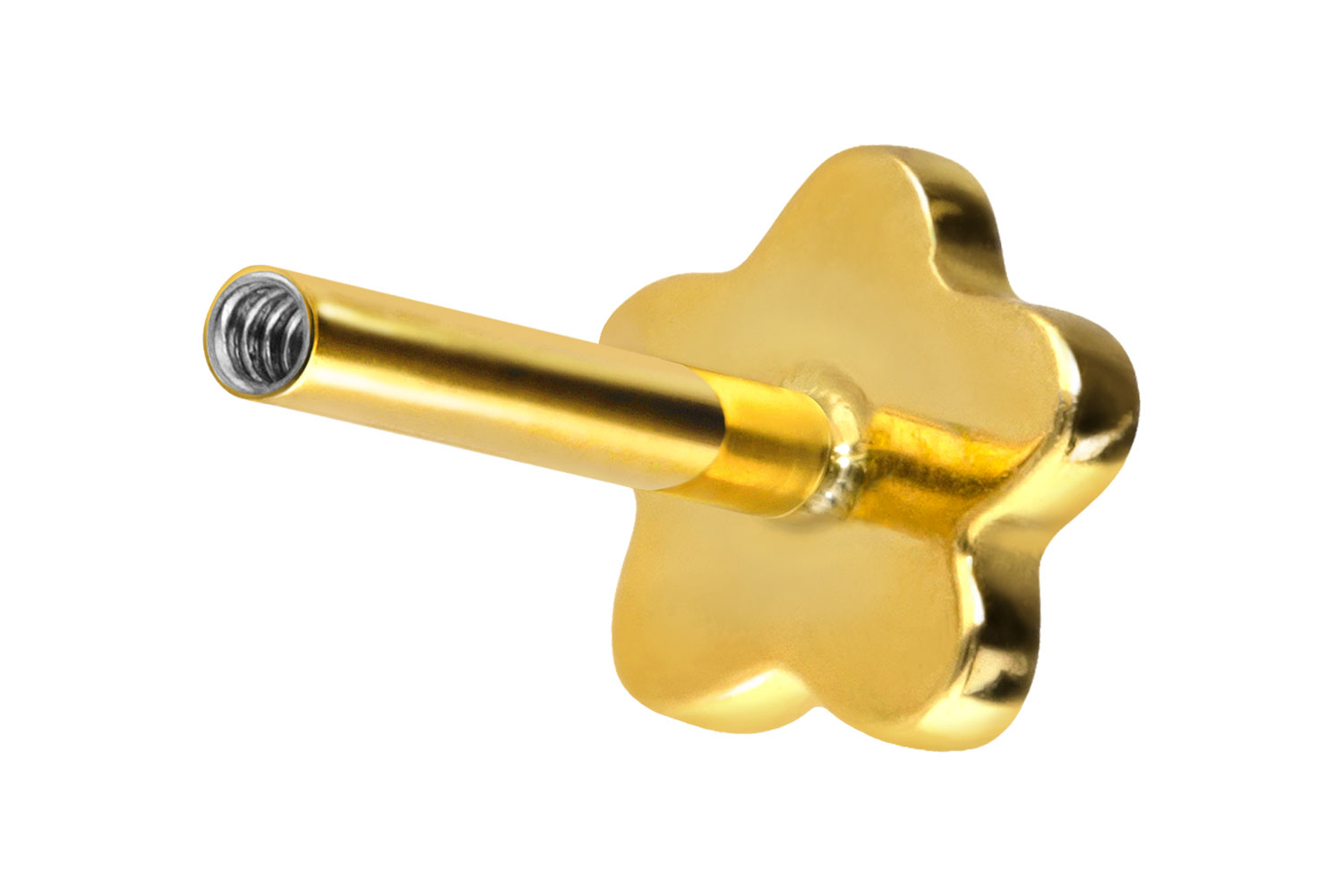 Titan Labret mit Innengewinde ohne Kugel BLUME