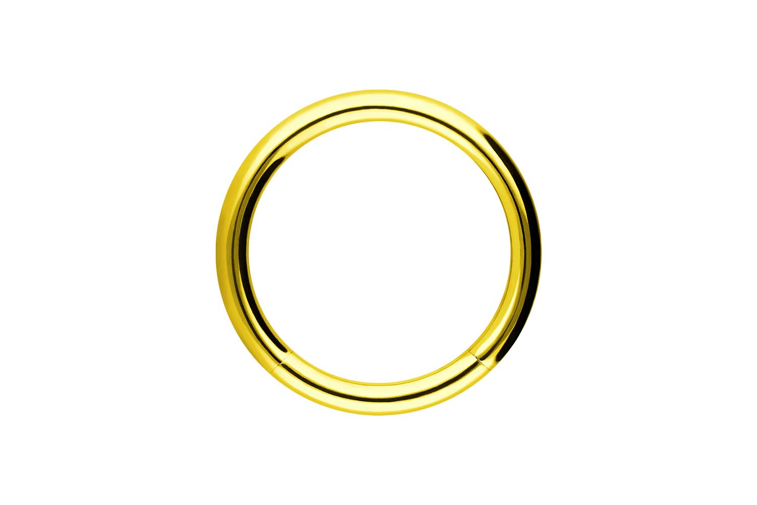 Chirurgenstahl Segmentring