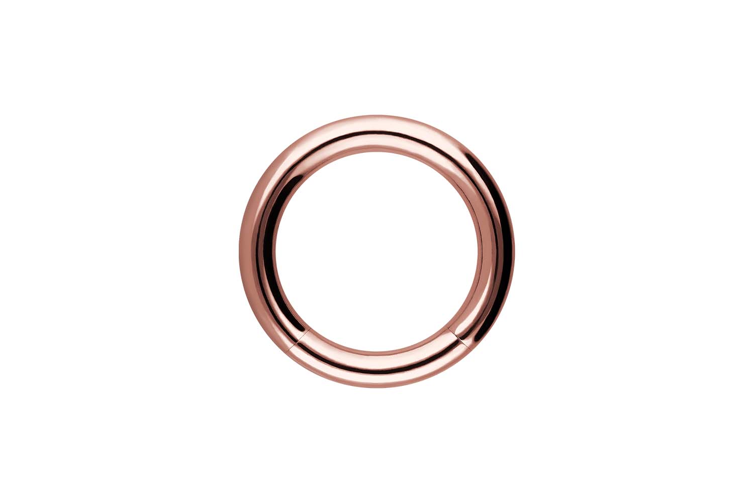 Chirurgenstahl Segmentring