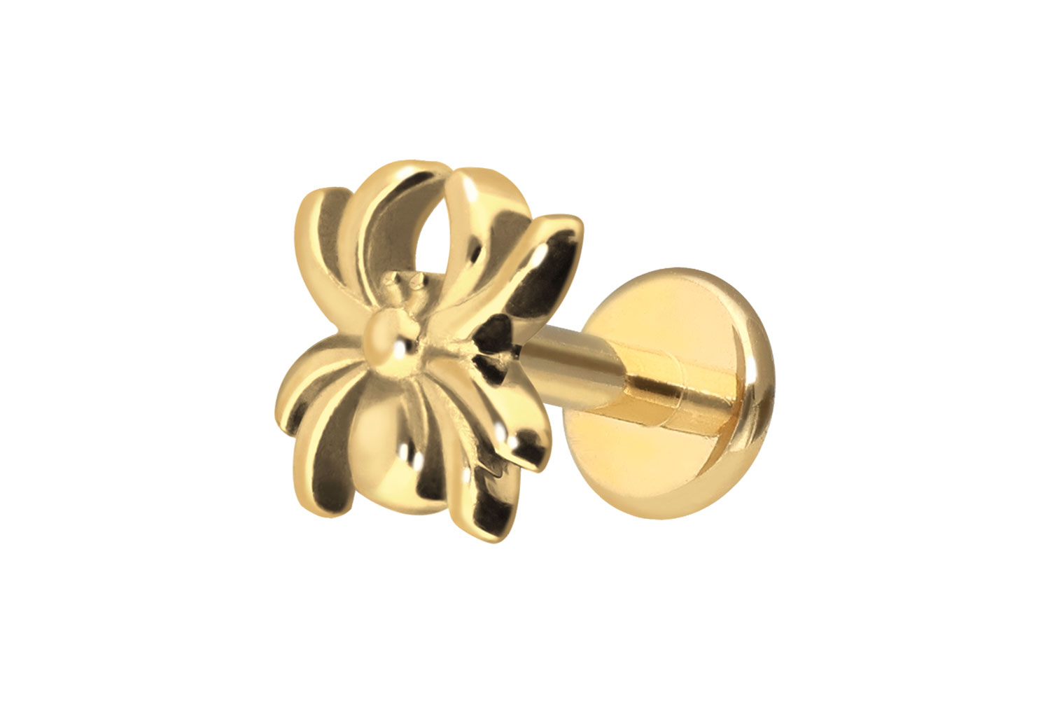 Premium Titan Labret mit Innengewinde SPINNE