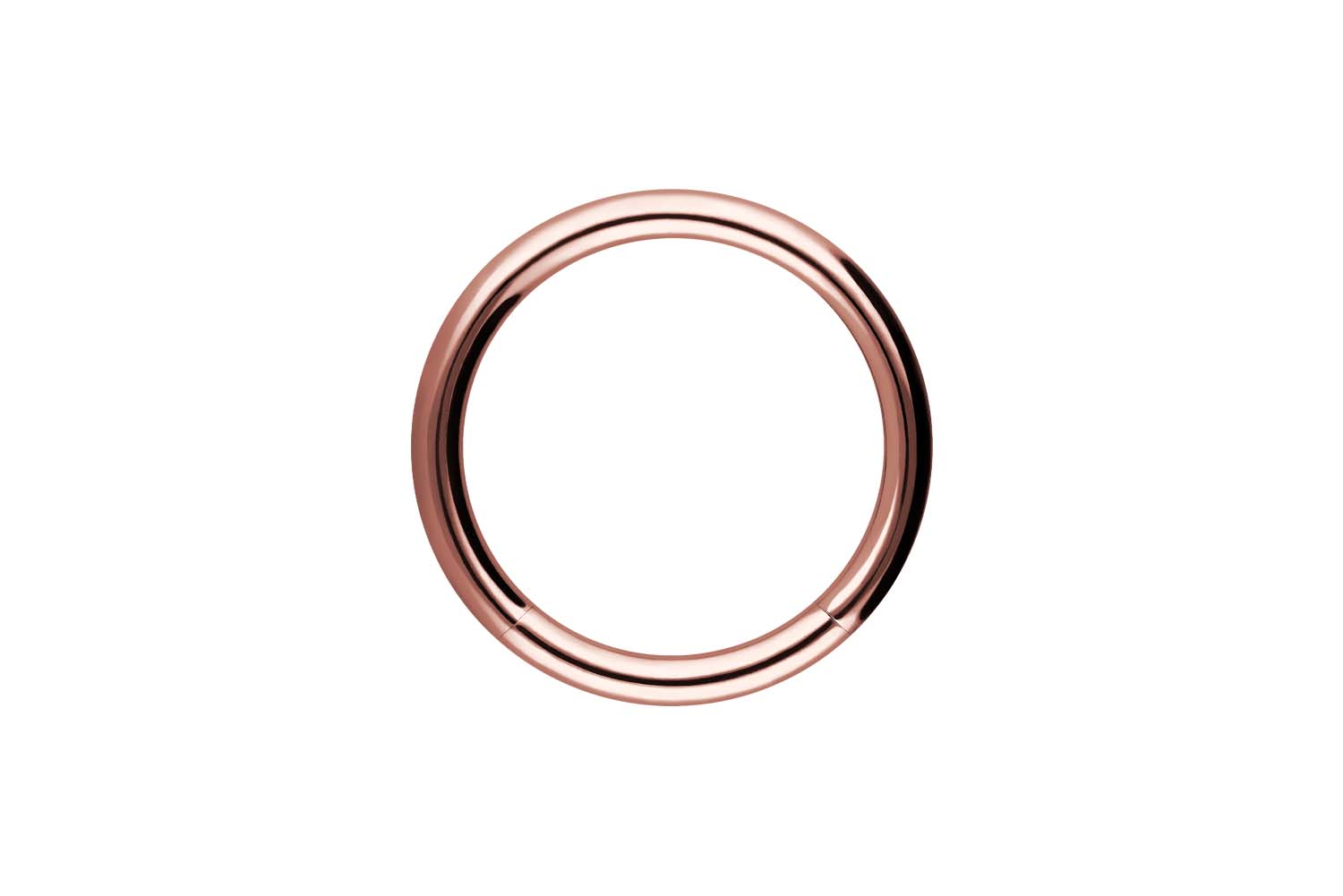 Chirurgenstahl Segmentring