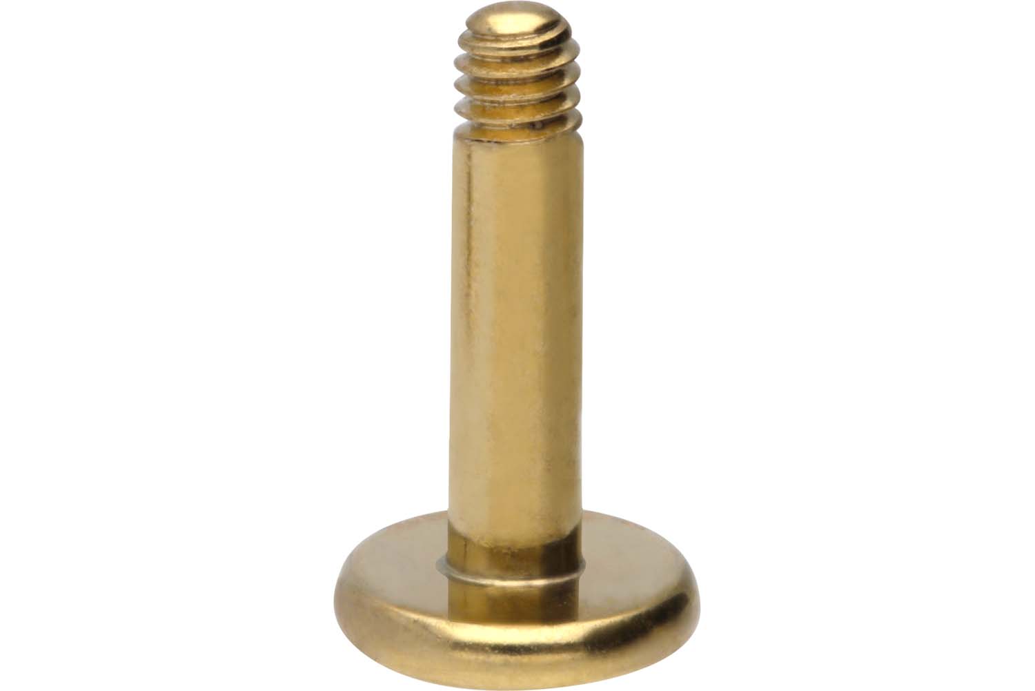 Chirurgenstahl Labret ohne Kugel