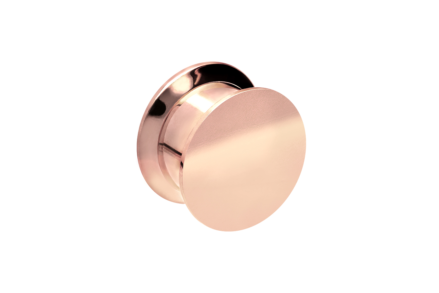 Surgical steel plug INTERNAL THREAD