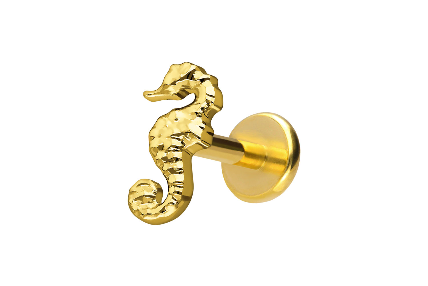Titanium labret with push fit SEAHORSE Titanium labret with push fit SEAHORSE
