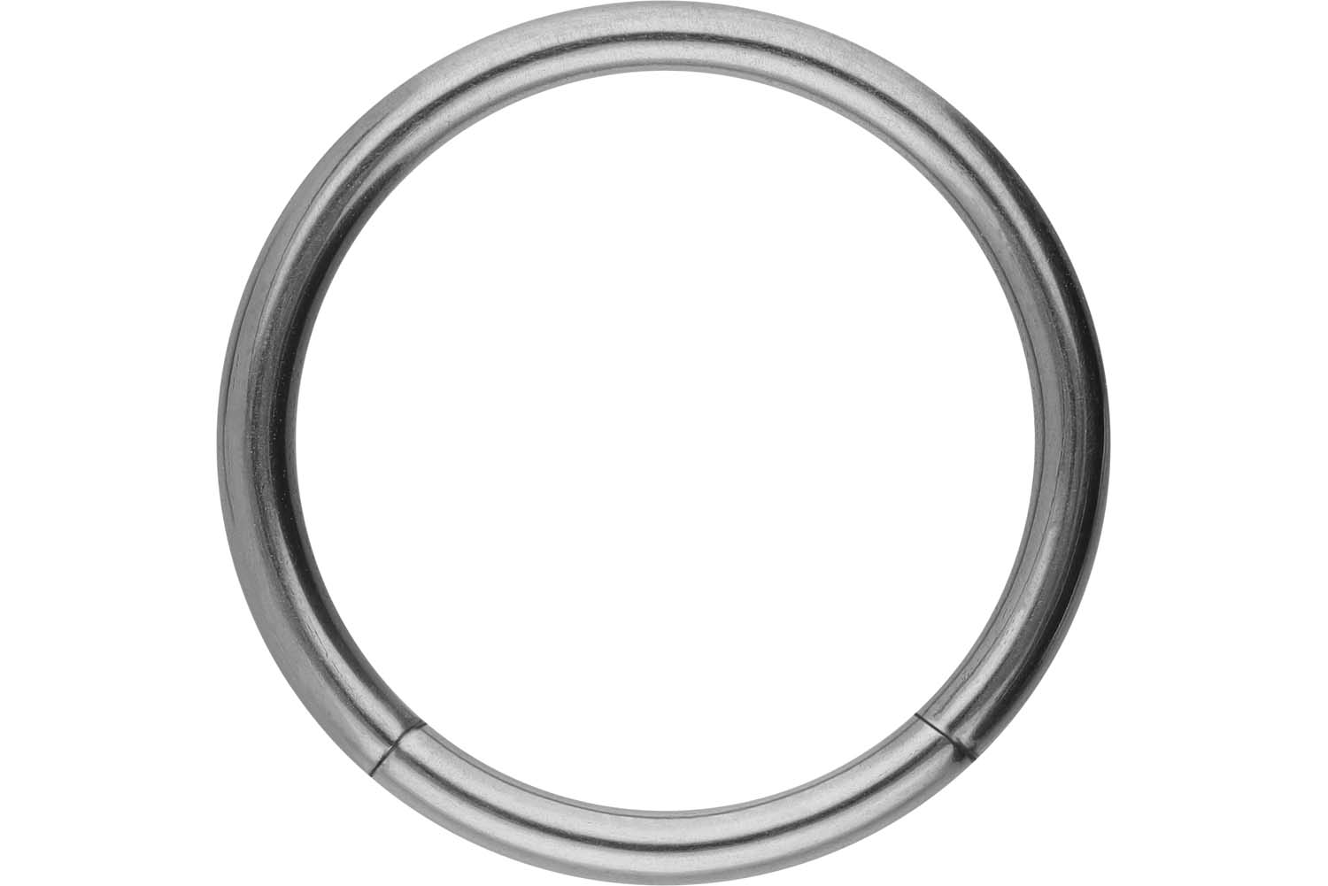 Titanium segment ring
