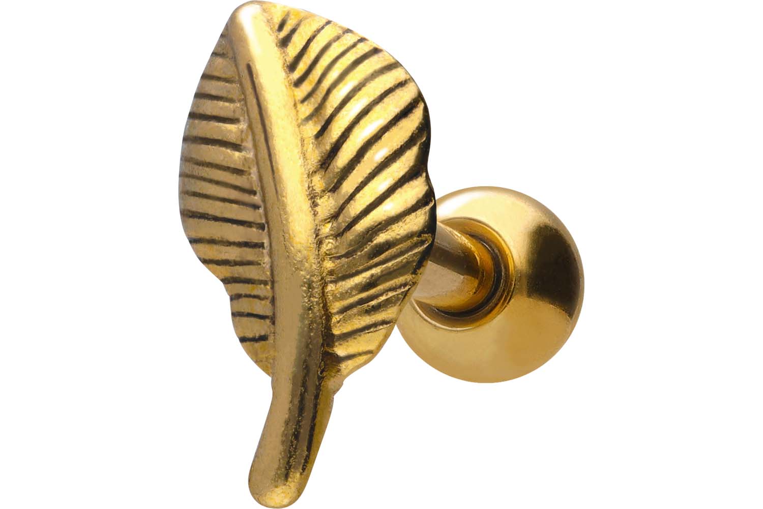 Chirurgenstahl Ohrpiercing FEDER