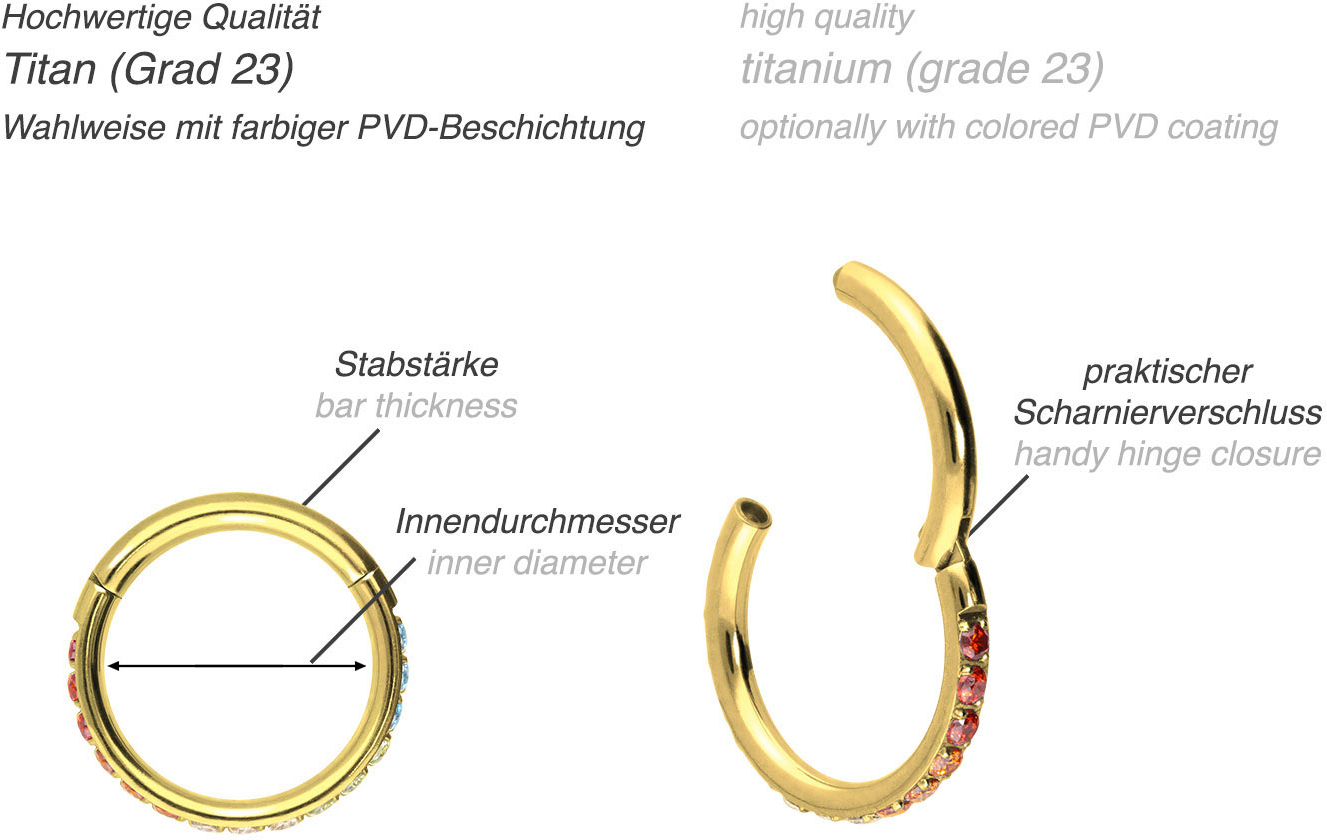 Titanium segment ring clicker SETTED CRYSTALS