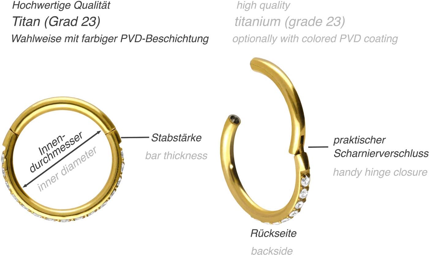 Titanium segment ring clicker SETTED CRYSTALS