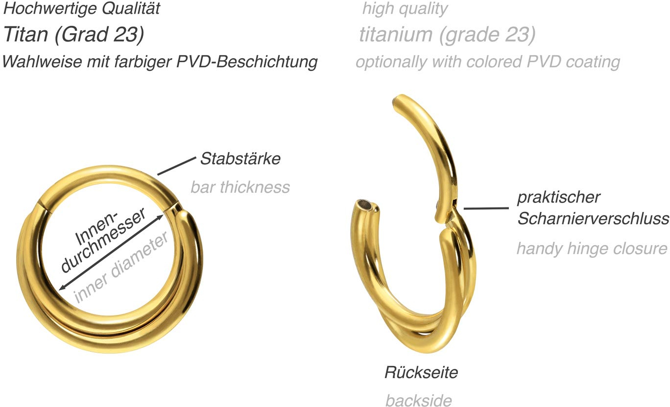 Titanium segment ring clicker 2 RINGS CROSSED